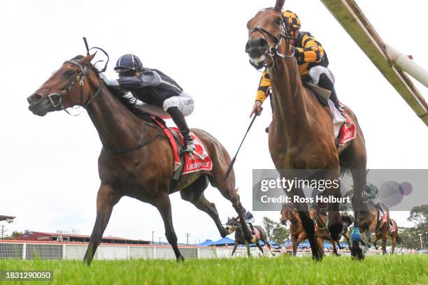 Bird Dog ridden by Laura Lafferty wins the Paulls Carpet Choice Maiden Plate at Moe Racecourse on December 08, 2023 in Moe, Australia.