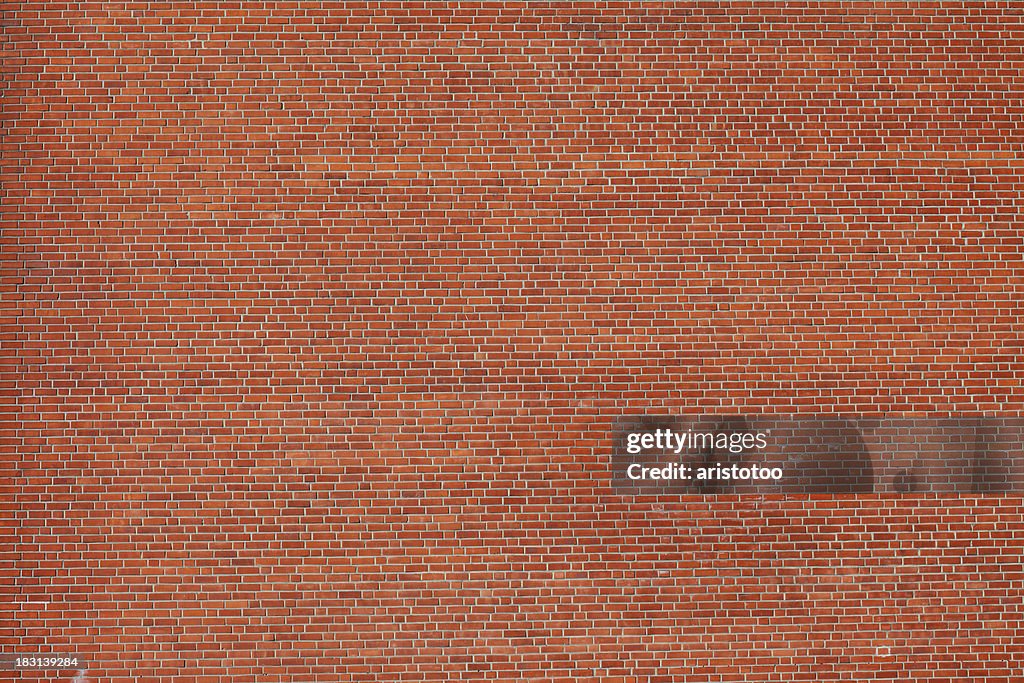 Large Brick Wall