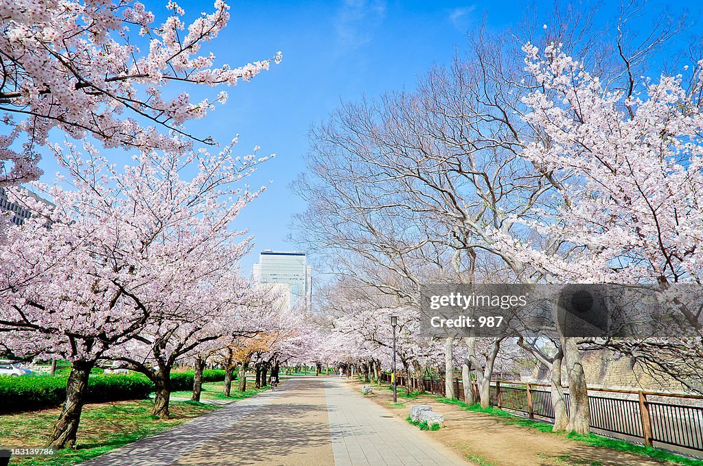 Osaka park