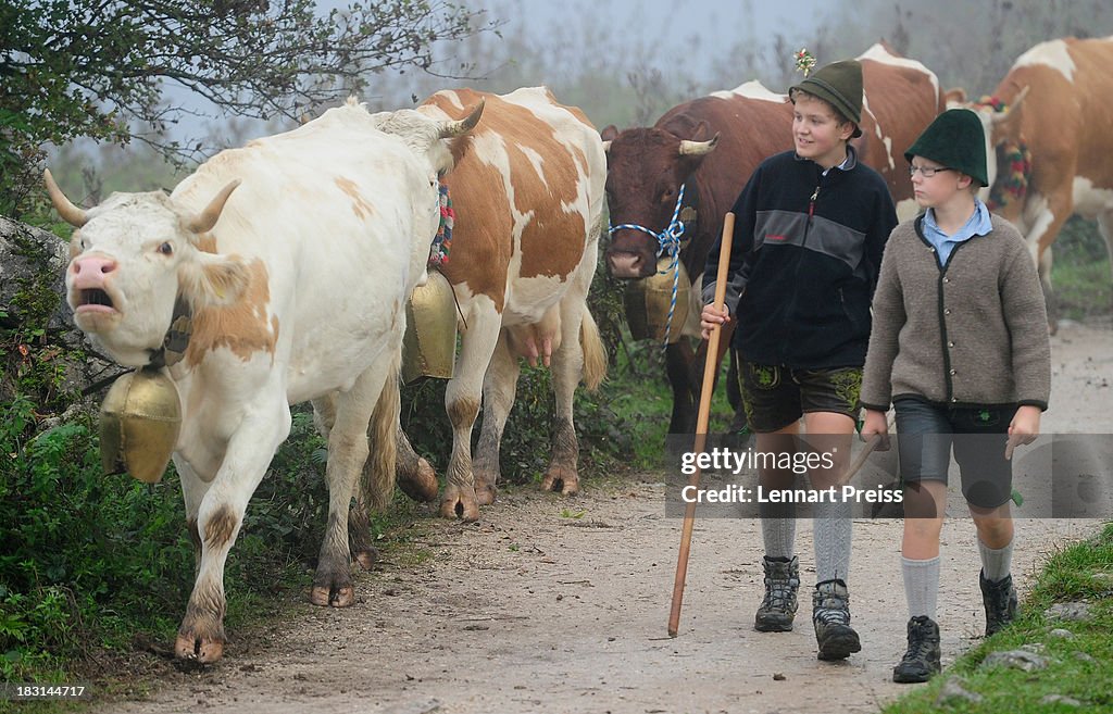 Annual Koenigssee Cattle Drive