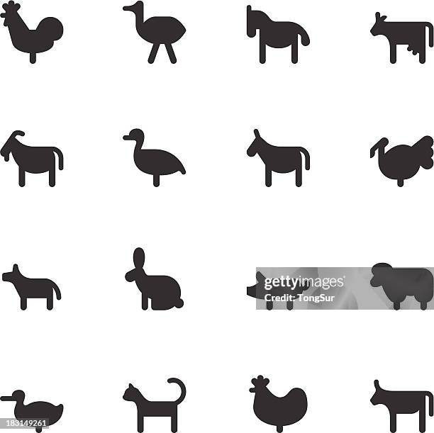 farm animals icons - black series - turkey bird icon stock illustrations