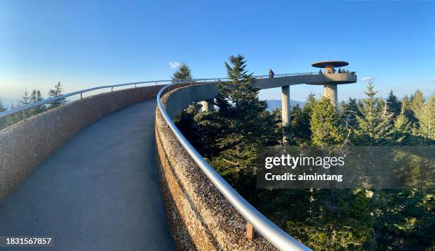 observation tower at clingmans dome - observation tower stock pictures, royalty-free photos & images