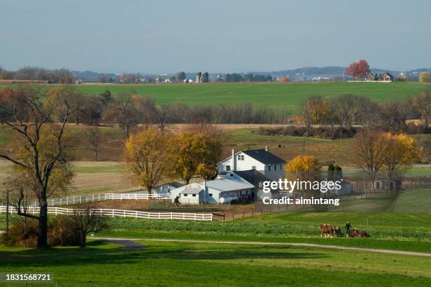 ferme amish en automne - lancaster-pennsylvania photos et images de collection