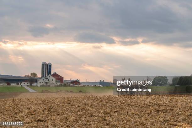 arar el campo de maíz - condado de lancaster pensilvania fotografías e imágenes de stock