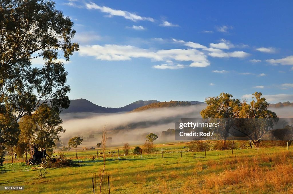 Mist, Kiewa Valley