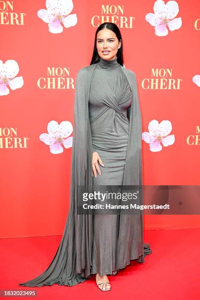 Adriana Lima attends the Mon Cheri Hosts Barbara Tag at Isarpost on December 04, 2023 in Munich, Germany.