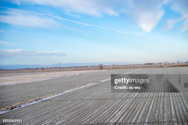 neat fields in winter - edificio agrícola fotografías e imágenes de stock