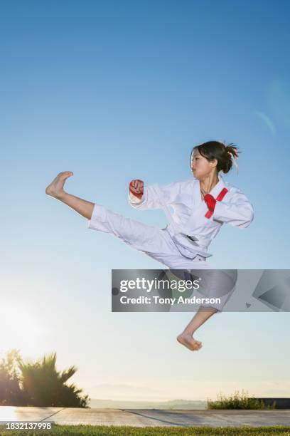 teenage girl martial artist doing flying kick - jiu-jitsu stock pictures, royalty-free photos & images