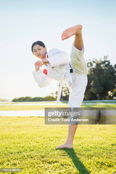 teenage girl martial artist doing high kick - girl punch stock pictures, royalty-free photos & images