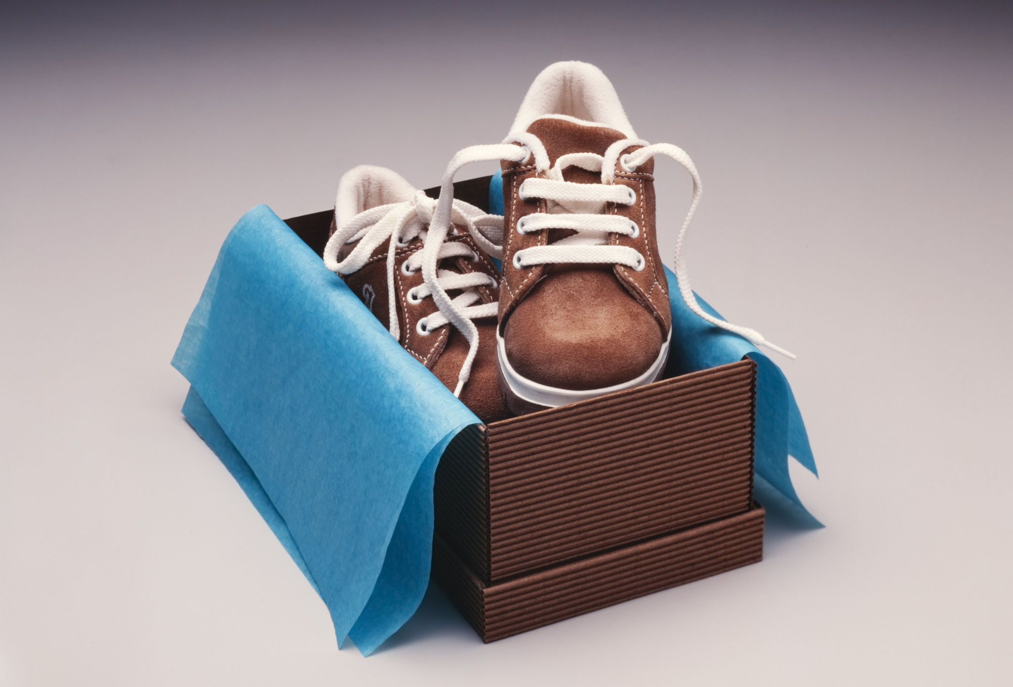 sneakerhead gift