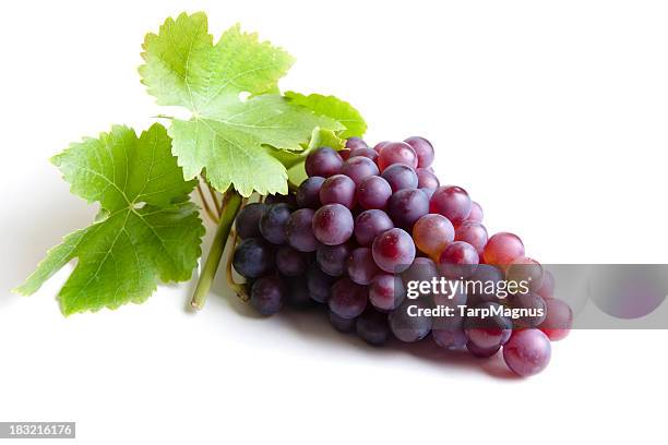 red grapes - grapes isolated stock pictures, royalty-free photos & images