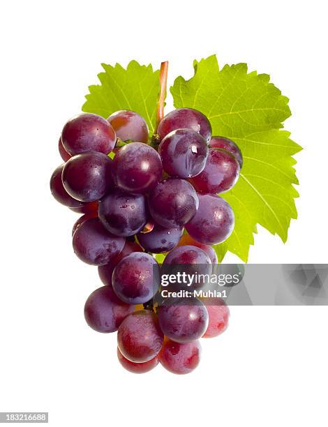 ブドウと葉 - grape ストックフォトと画像