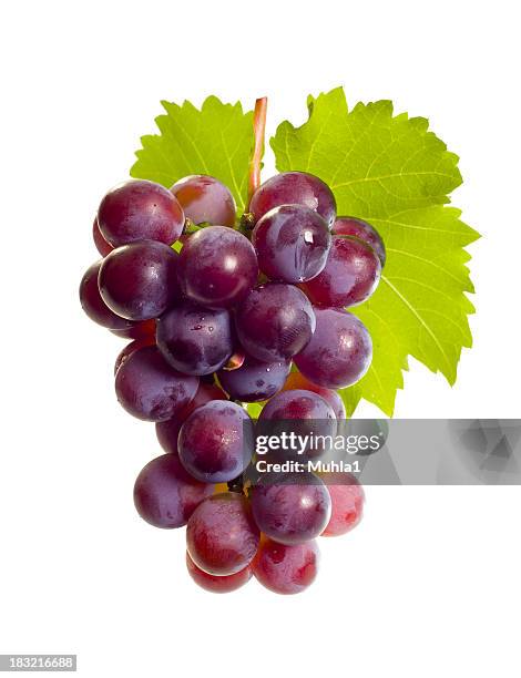 grape with leaf - grapes isolated stock pictures, royalty-free photos & images