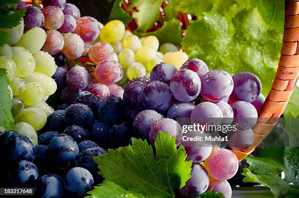bunch of different types of fresh grapes - druif stockfoto's en -beelden