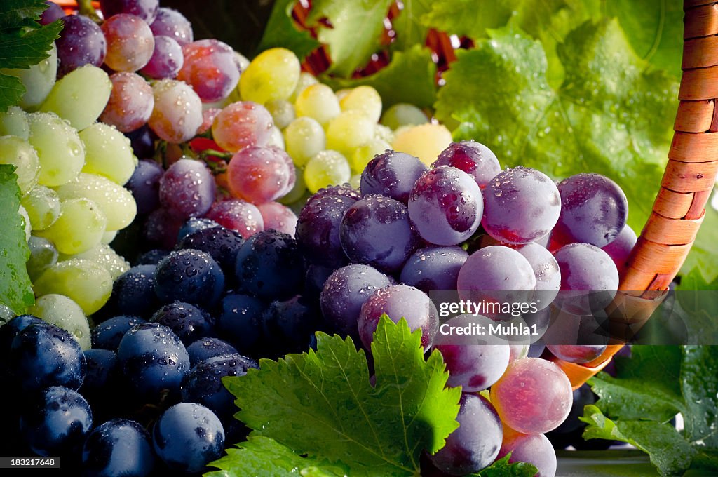 Bunch of different types of fresh grapes