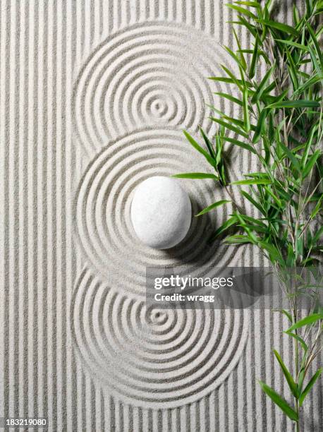 bamboo in a zen garden - feng shui stock pictures, royalty-free photos & images
