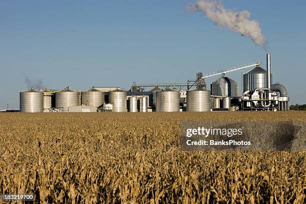 otoño cornfield con etanol biorefinery en el fondo - etanol fotografías e imágenes de stock
