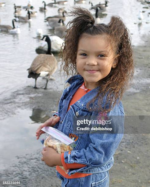 little girl at the duck pond - 3 little black ducks stockfoto's en -beelden