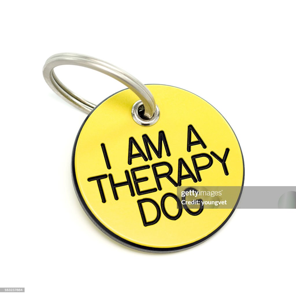 Therapy dog tag