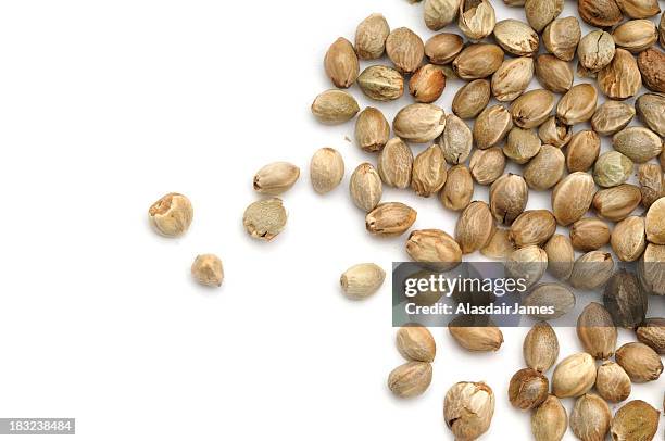 hemp seeds scattered - hemp stock pictures, royalty-free photos & images