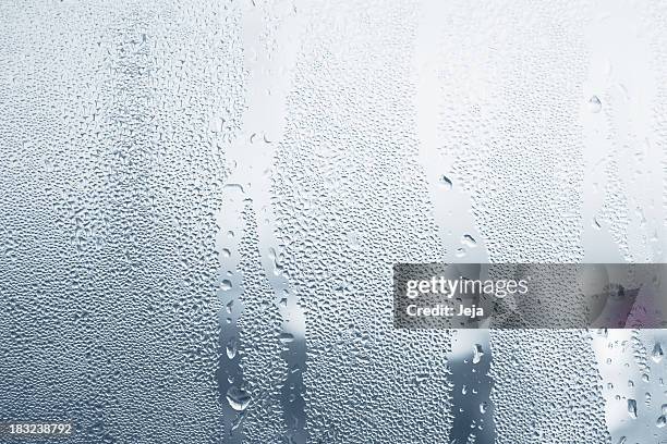 close-up of water drops on a window - fuktighet bildbanksfoton och bilder