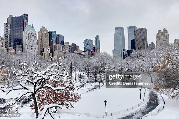 冬のセントラルパーク、ニューヨーク市 - central park winter ストックフォトと画像