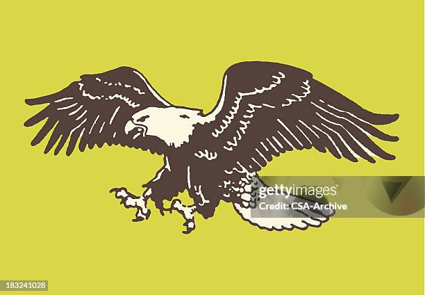 bald eagle about to land - mascot 幅插畫檔、美工圖案、卡通及圖標