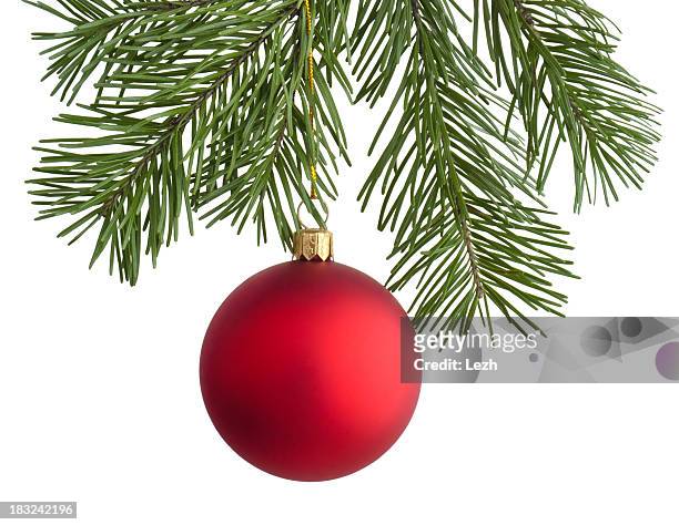 christmas weihnachtsbaum - zweig stock-fotos und bilder