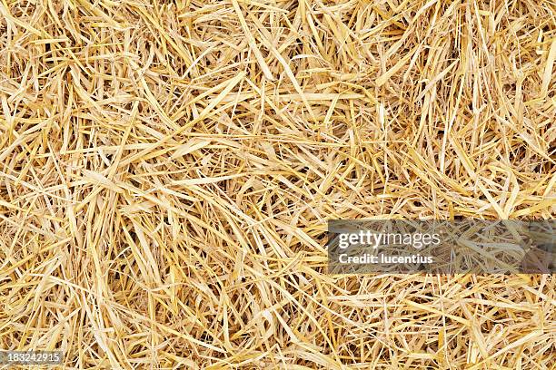 straw background - straw stock pictures, royalty-free photos & images