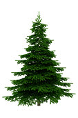 Christmas Tree Isolated On White Background - XXXL