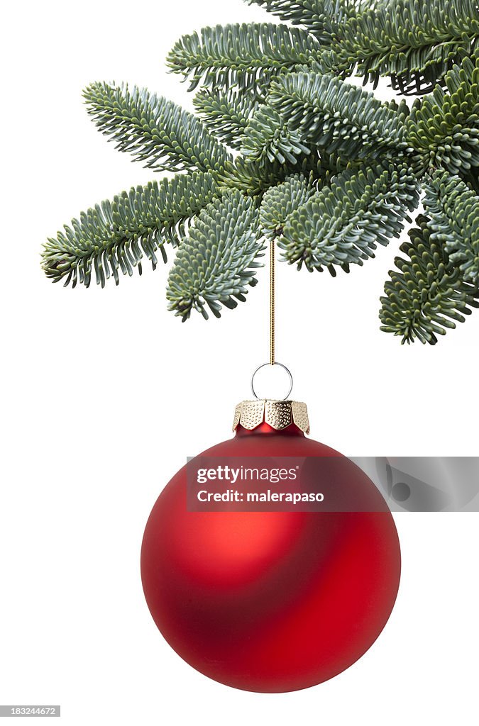 Christmas ball hanging on a fir tree branch