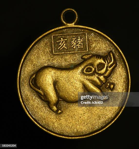 during - pig - circle pendant stock pictures, royalty-free photos & images