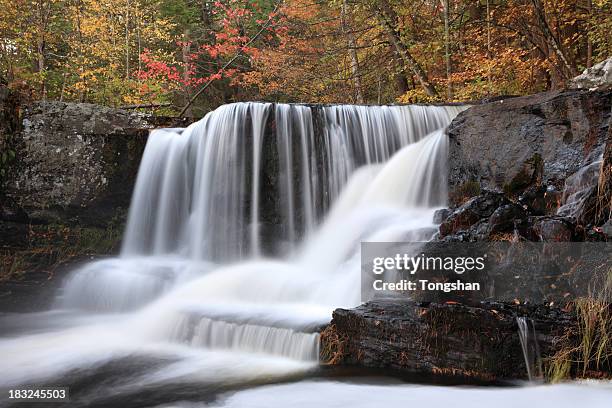 water falls and autumn - pocono mountains region stock pictures, royalty-free photos & images