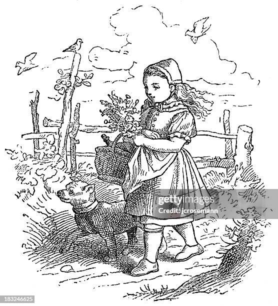 stockillustraties, clipart, cartoons en iconen met little red riding hood - little red riding hood