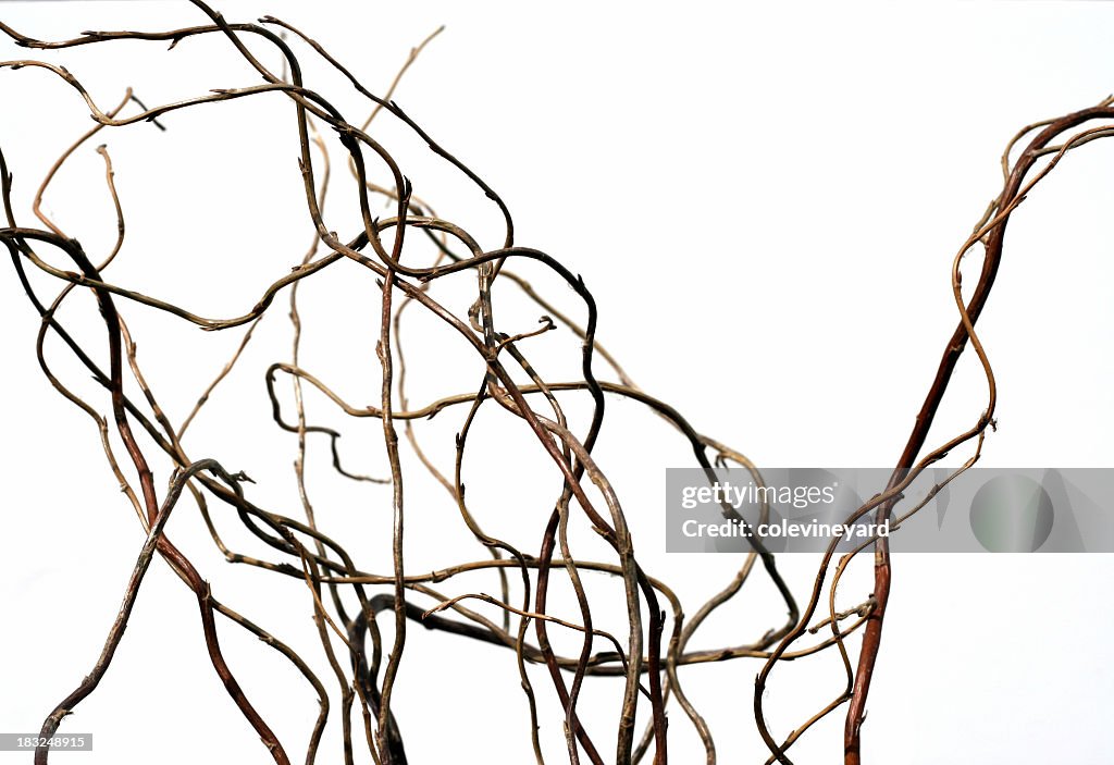 Twisted decorative branches for a floral arrangement