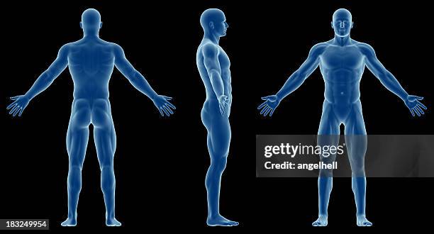 human body of a slim man, for study - semi dress stock pictures, royalty-free photos & images