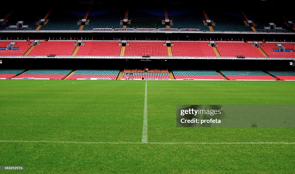 Stadium, Ground Level