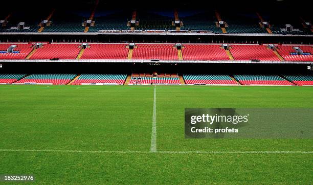 stadium, ground level - football field stock pictures, royalty-free photos & images