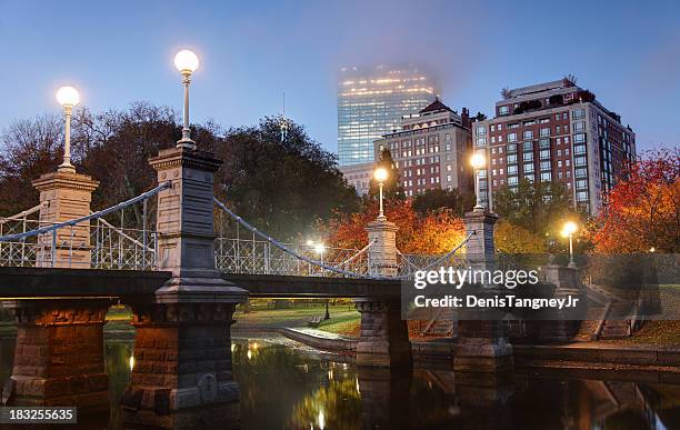 en la niebla de la mañana de otoño en boston - jardín público de boston fotografías e imágenes de stock