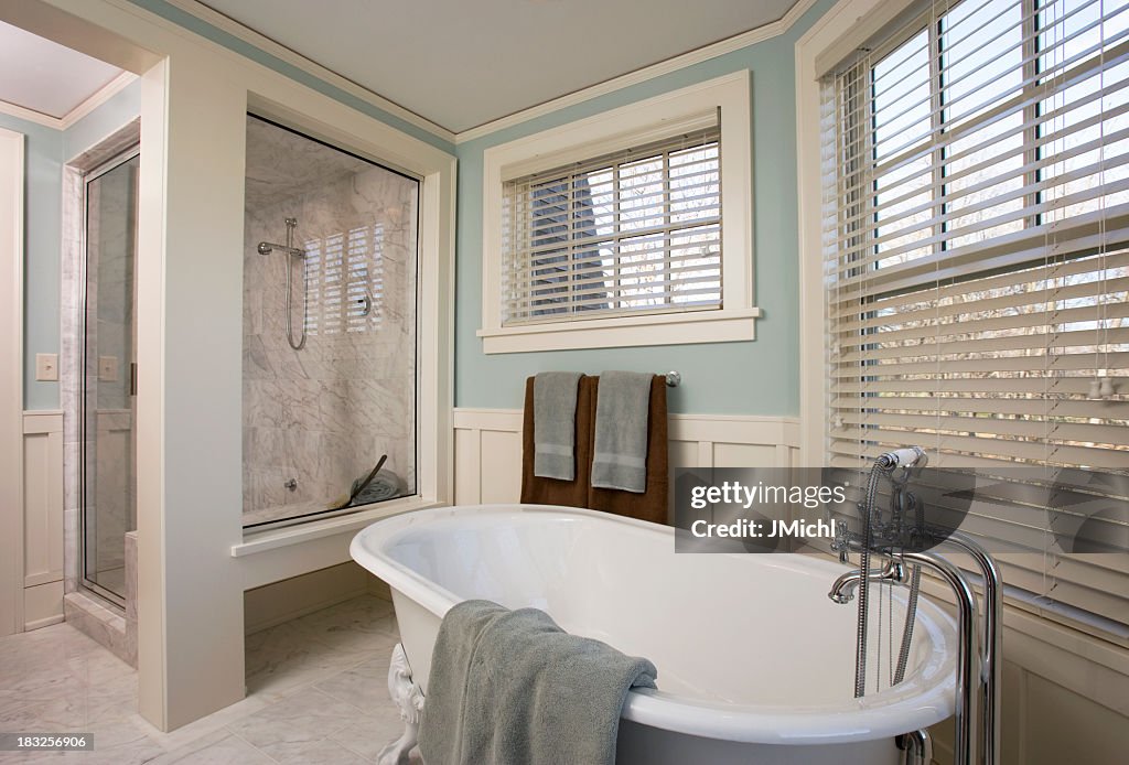 Luxury Bathroom Remodel Showing Bathtub and Shower.