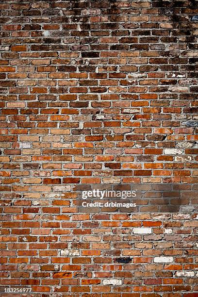 muro di mattoni - brick foto e immagini stock