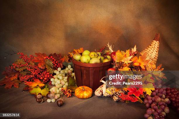 thanksgiving arrangement - thanksgiving cornucopia stock pictures, royalty-free photos & images