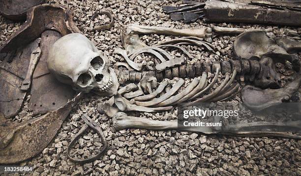 human skull and bone remains laying on rocks - human skeleton stock pictures, royalty-free photos & images