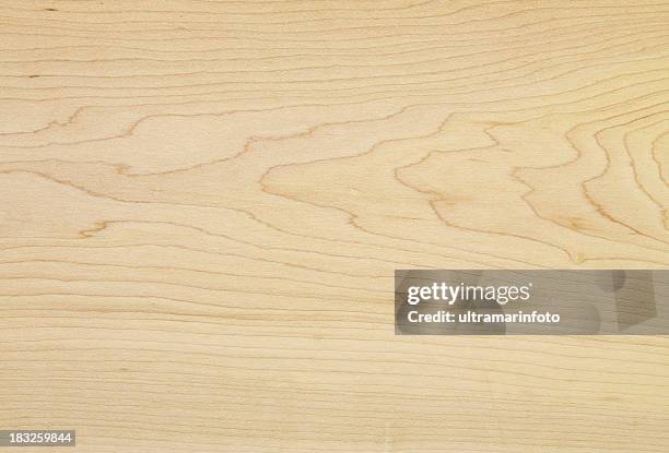 holz textur-kanadischem ahorn - ahorn holz stock-fotos und bilder