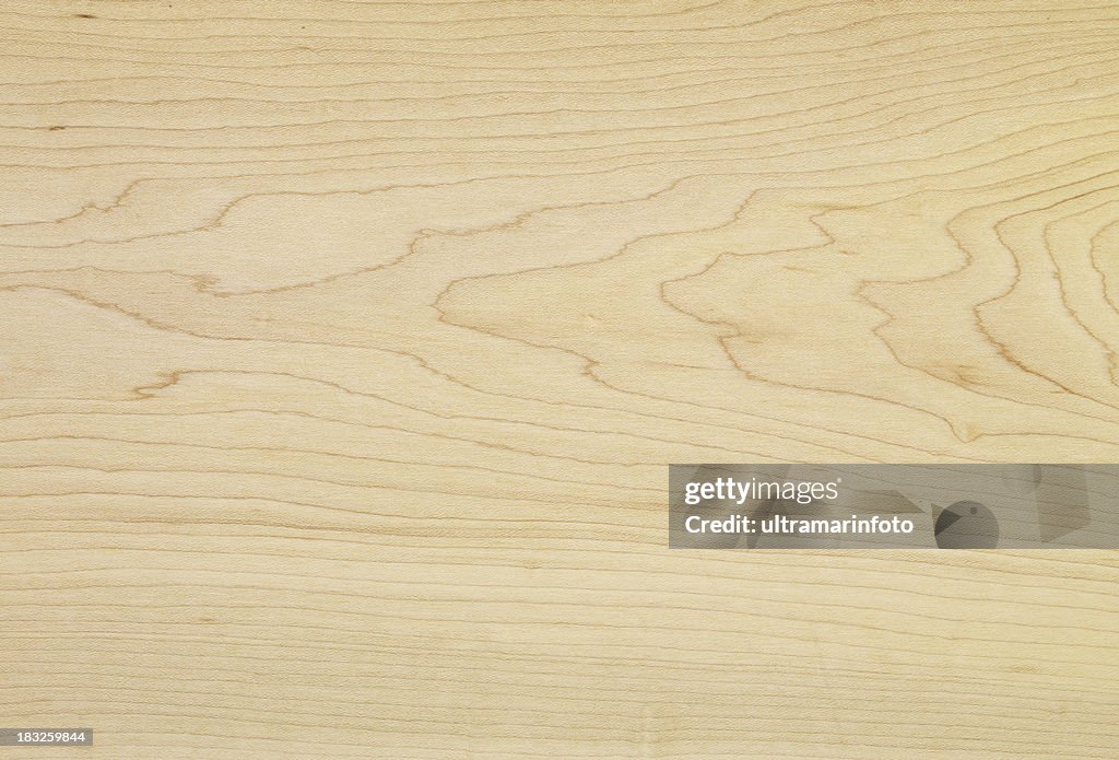 Texture legno di acero canadese