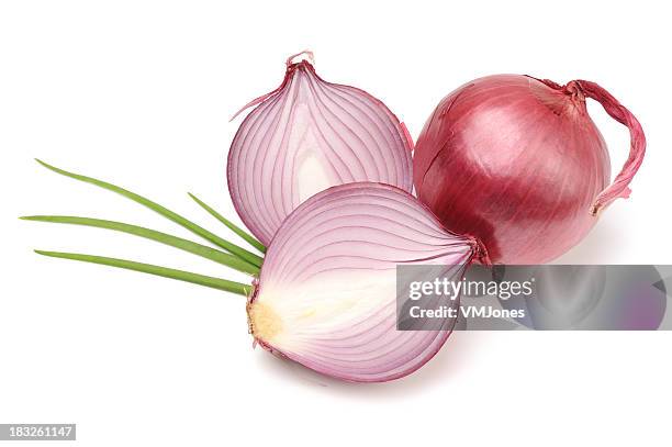 cebola vermelha ou púrpura orgânicos isolados - red onion imagens e fotografias de stock