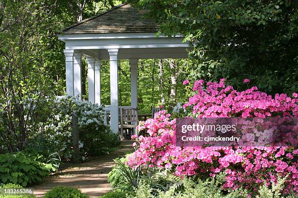 gazebo in springtime - rhododendron garden stock pictures, royalty-free photos & images