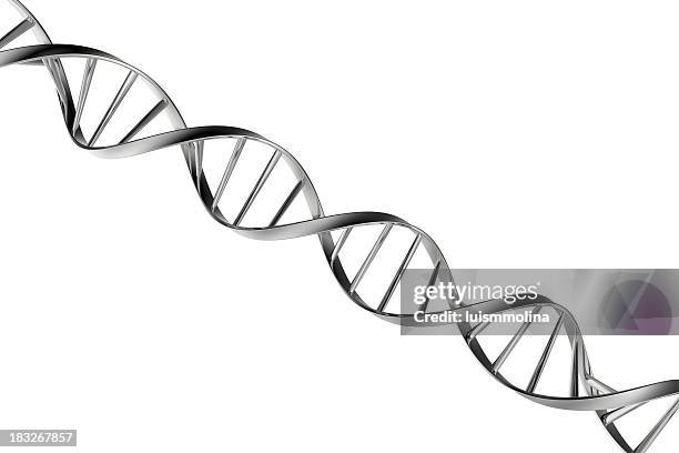 dna - dna stock-fotos und bilder