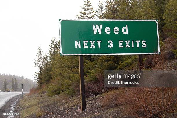 1,728 Funny Road Signs Photos and Premium High Res Pictures - Getty Images