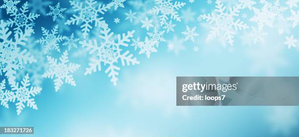 winter - snow flakes stock pictures, royalty-free photos & images